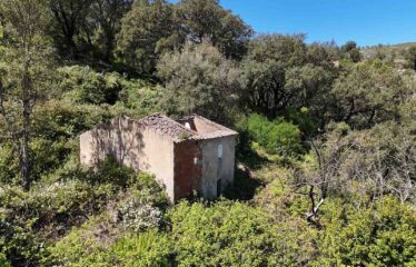 Quinta – para Venda – Monchique – Algarve