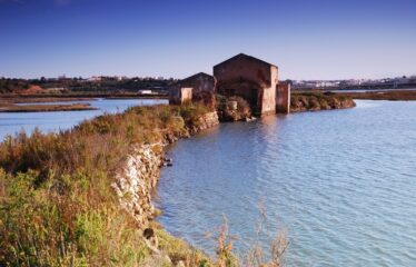 Lote de Terreno para Venda em Estômbar – Lagoa